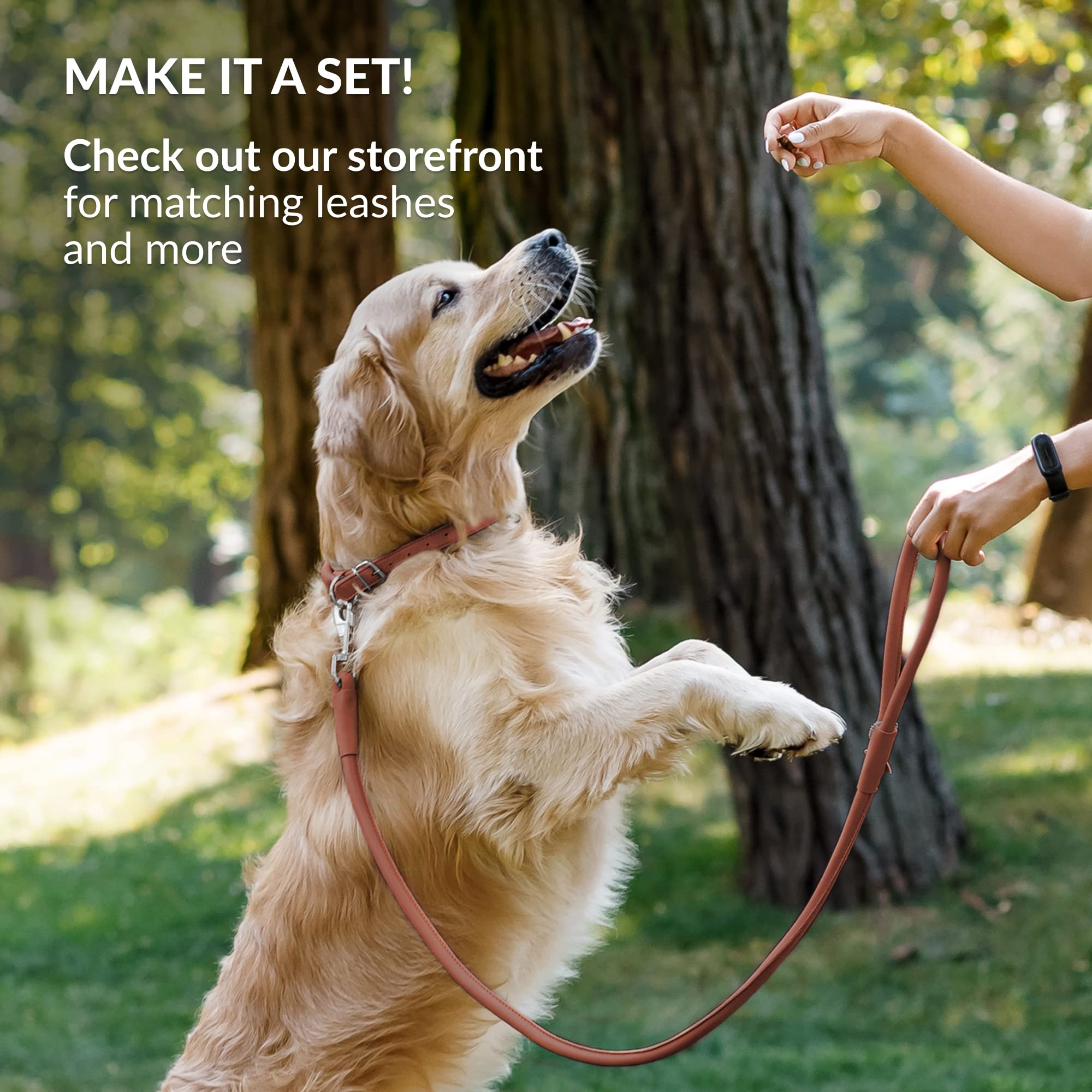 CollarDirect a juego para gato, conjunto coordinado