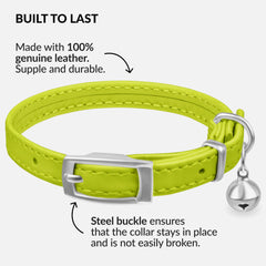 CollarDirect con campana de metal brillante para localizar al gato fácilmente.