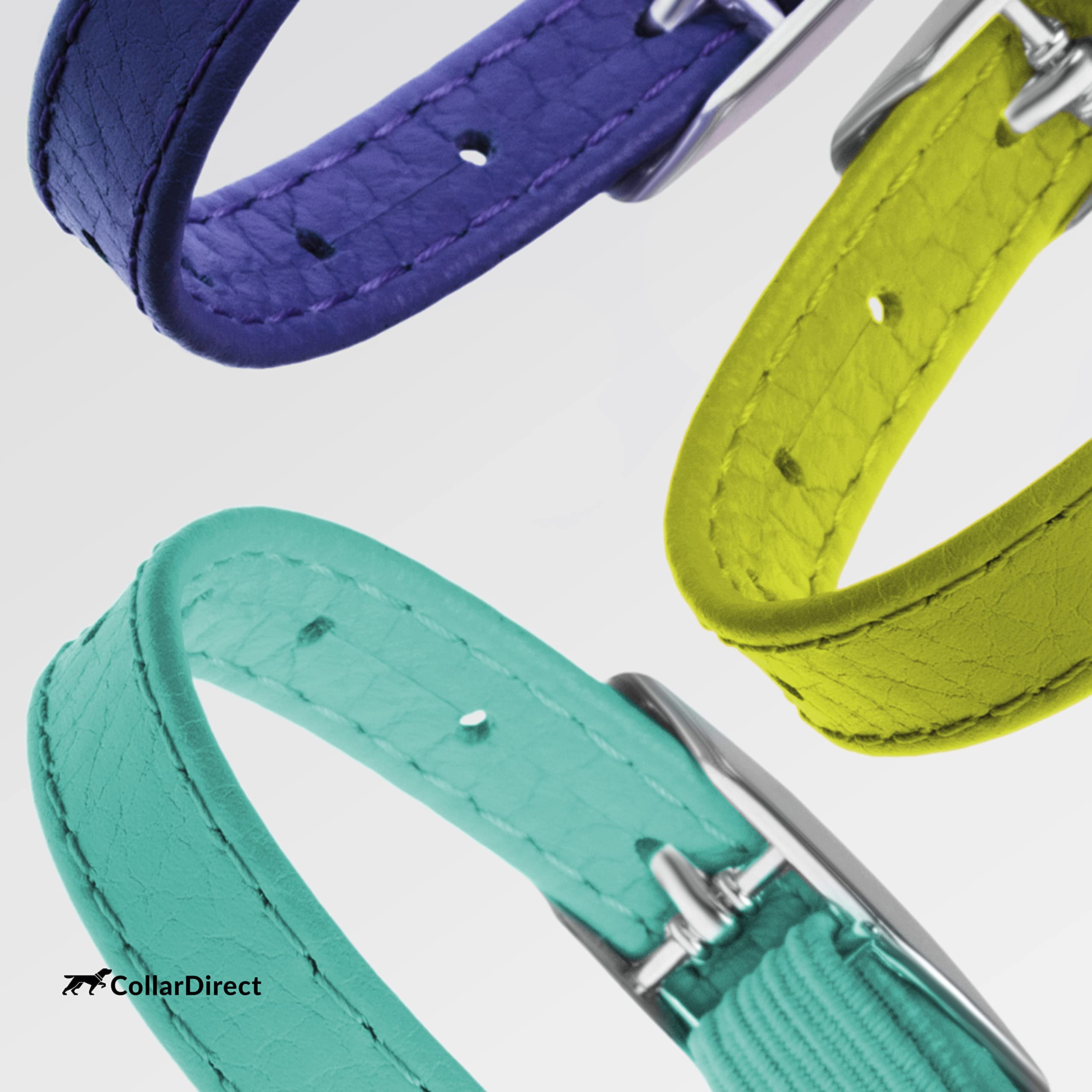 Conjunto CollarDirect: collar y correa a juego en cuero.