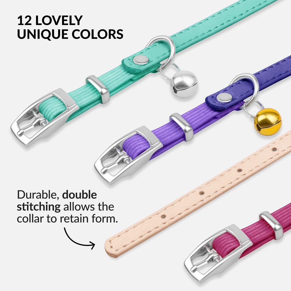 CollarDirect diseño duradero para uso diario en gatos y gatitos