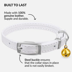 CollarDirect collar de cuero con ajuste elastico, seguro y comodo para el gato.