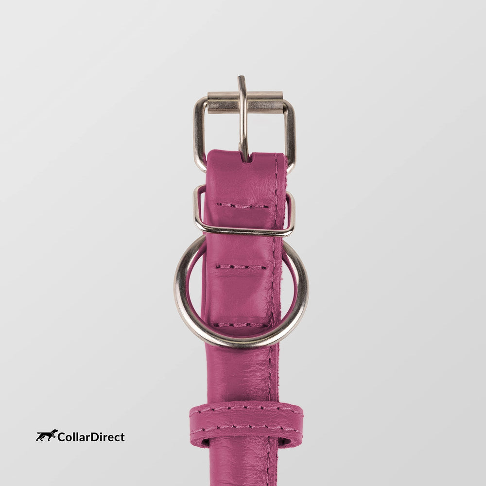 CollarDirect: collar para gato rosa texturizado, combina con opciones para perros.