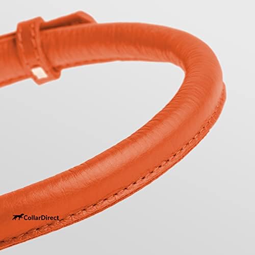 CollarDirect hecho a mano en cuero genuino para mascota