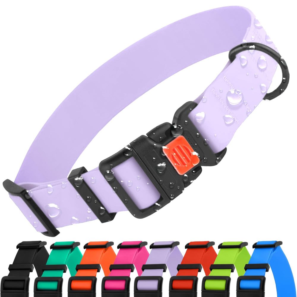 Collardirect collar impermeable para perros, ideal para paseos bajo lluvia.