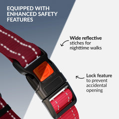 CollarDirect Martingale con hebilla de liberación rápida en rosa para uso cómodo.