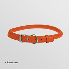 CollarDirect para perro pequeno con ajuste cómodo y seguro