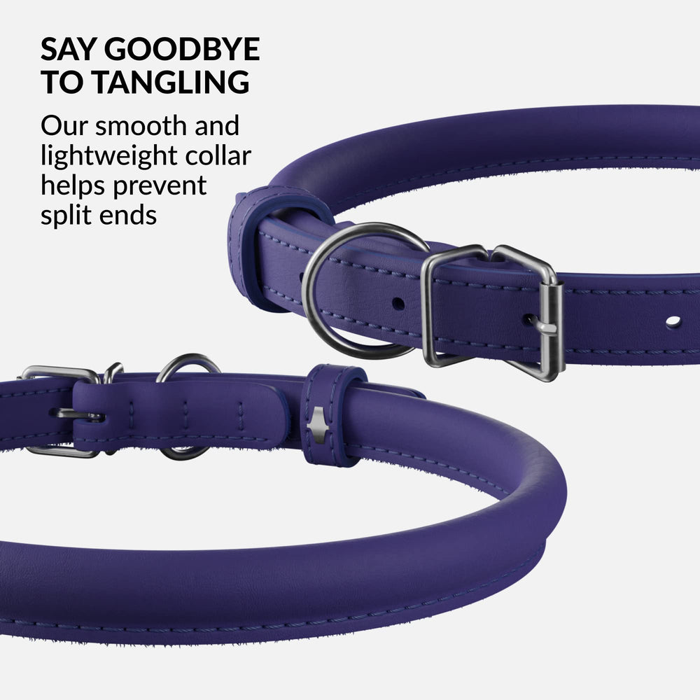 CollarDirect collar para perro pequeño, cómodo y duradero para paseos diarios.