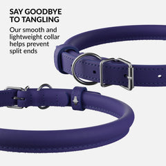CollarDirect collar para perro pequeño, cómodo y duradero para paseos diarios.