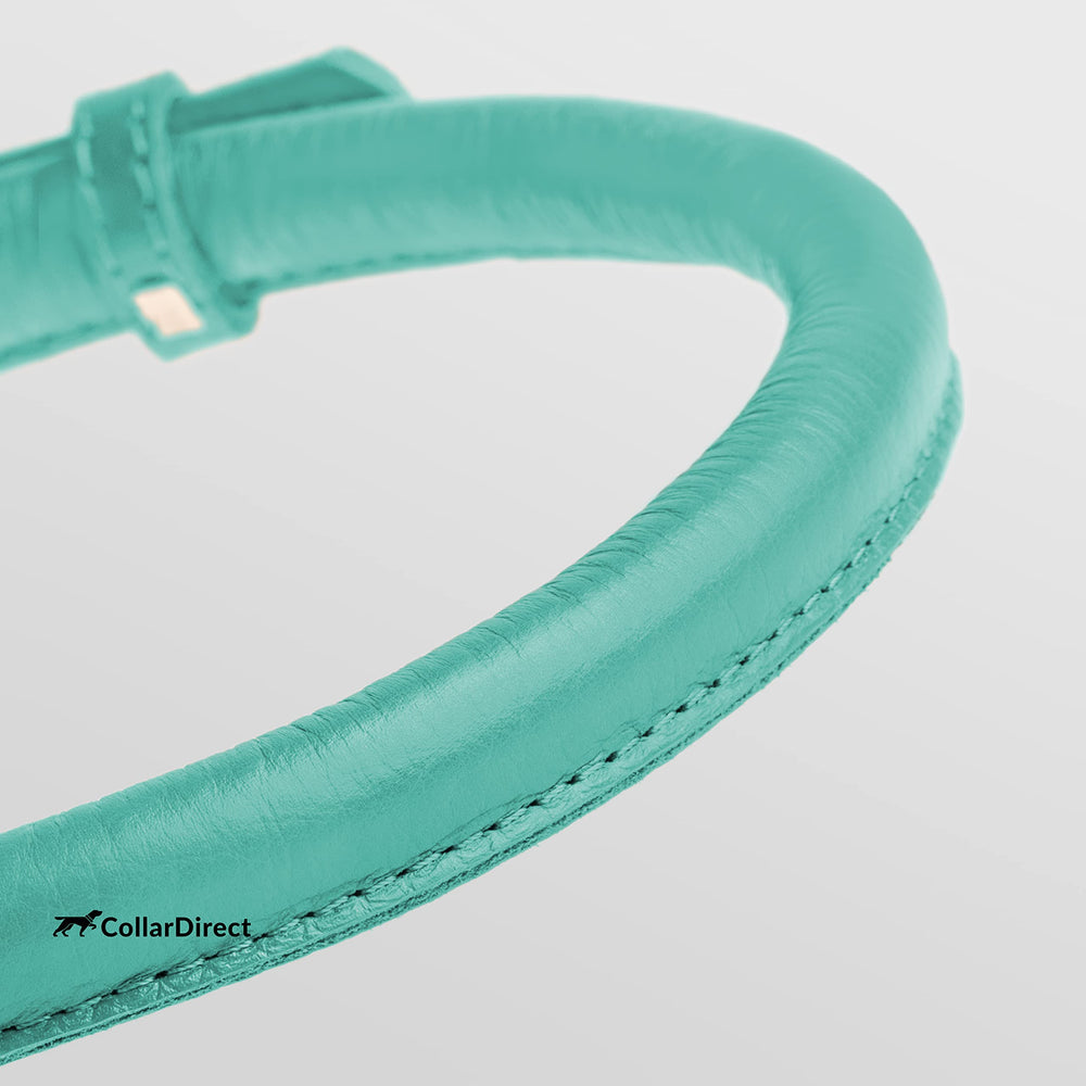 CollarDirect para perro, talla 6-7 pulgadas, ajuste cómodo.