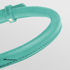 CollarDirect para perro, talla 6-7 pulgadas, ajuste cómodo.