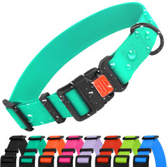 CollarDirect, collar para perro resistente al agua, ideal para juego al aire libre.