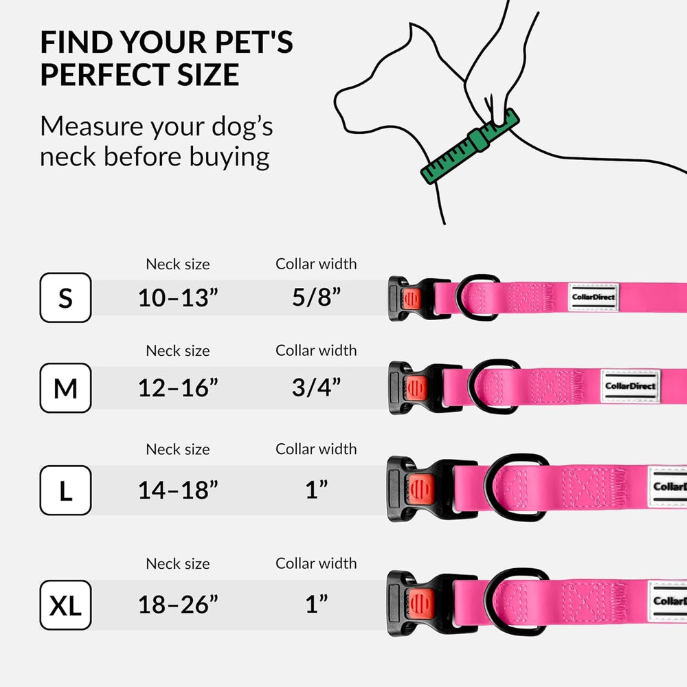 CollarDirect naranja, colores vivos para localizar al perro