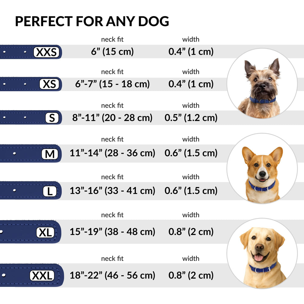 CollarDirect collar en varios colores para personalidad del perro.
