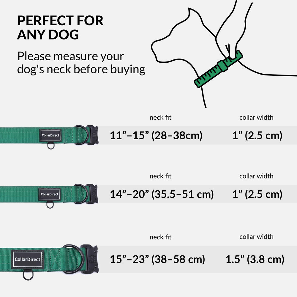 CollarDirect: collar verde ajustable para perros medianos y grandes