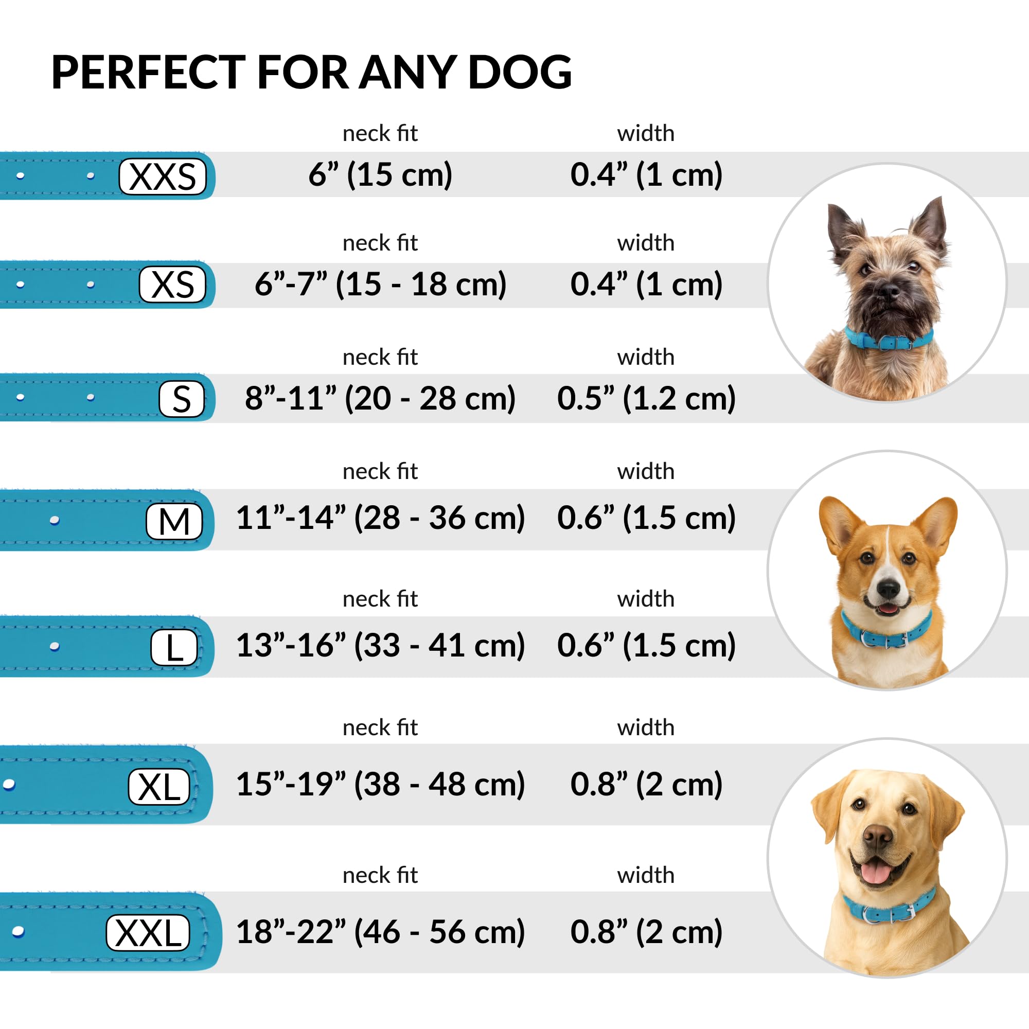 CollarDirect collar perro y gato cuero, disponible en varias tallas.