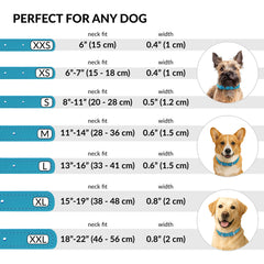 CollarDirect collar perro y gato cuero, disponible en varias tallas.