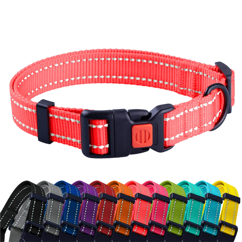CollarDirect Reflectante para perros mejora visibilidad nocturna