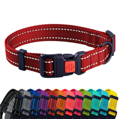CollarDirect reflectivo en el cuello del perro, visibilidad nocturna mejorada.