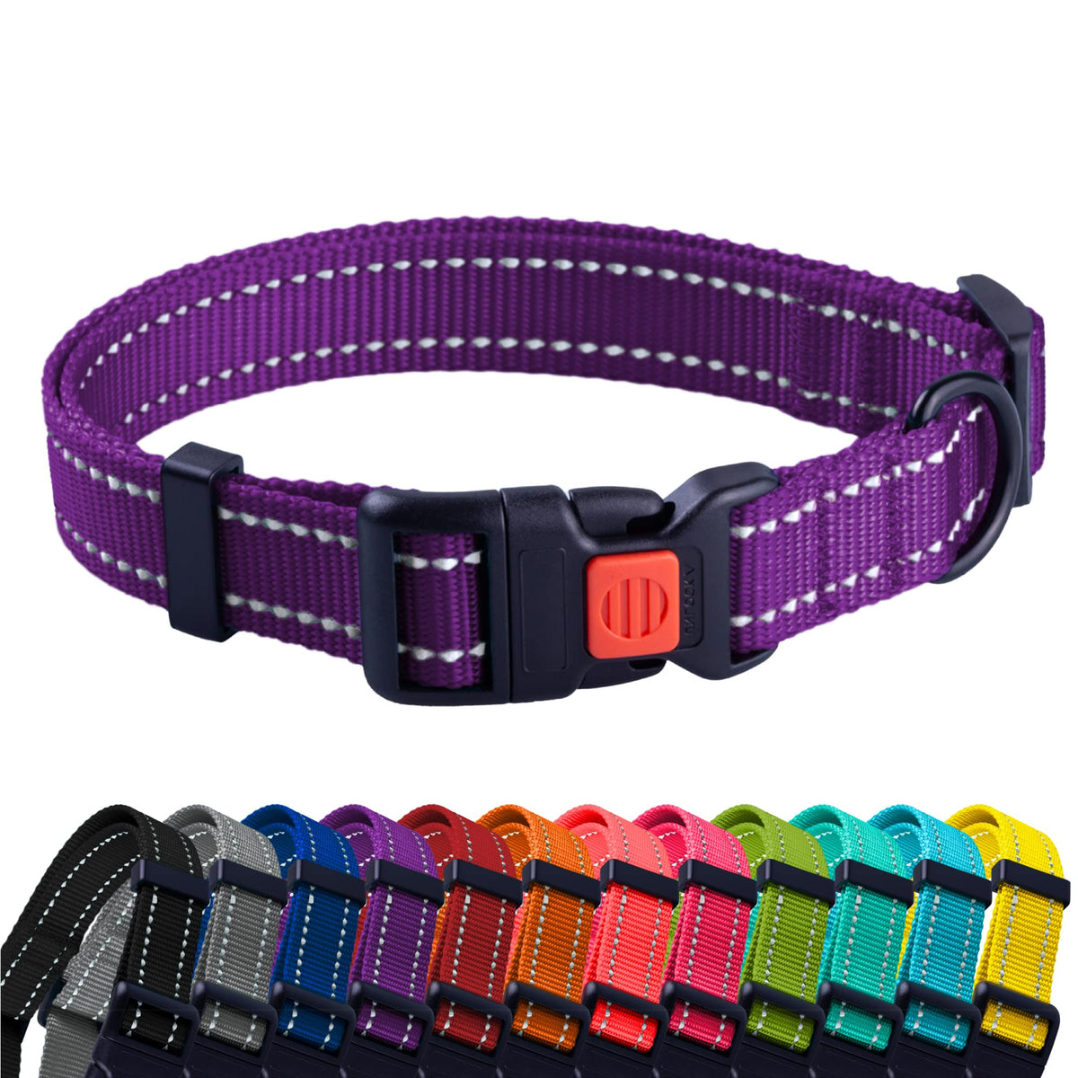 CollarDirect collar reflectivo en escena nocturna para mayor visibilidad.