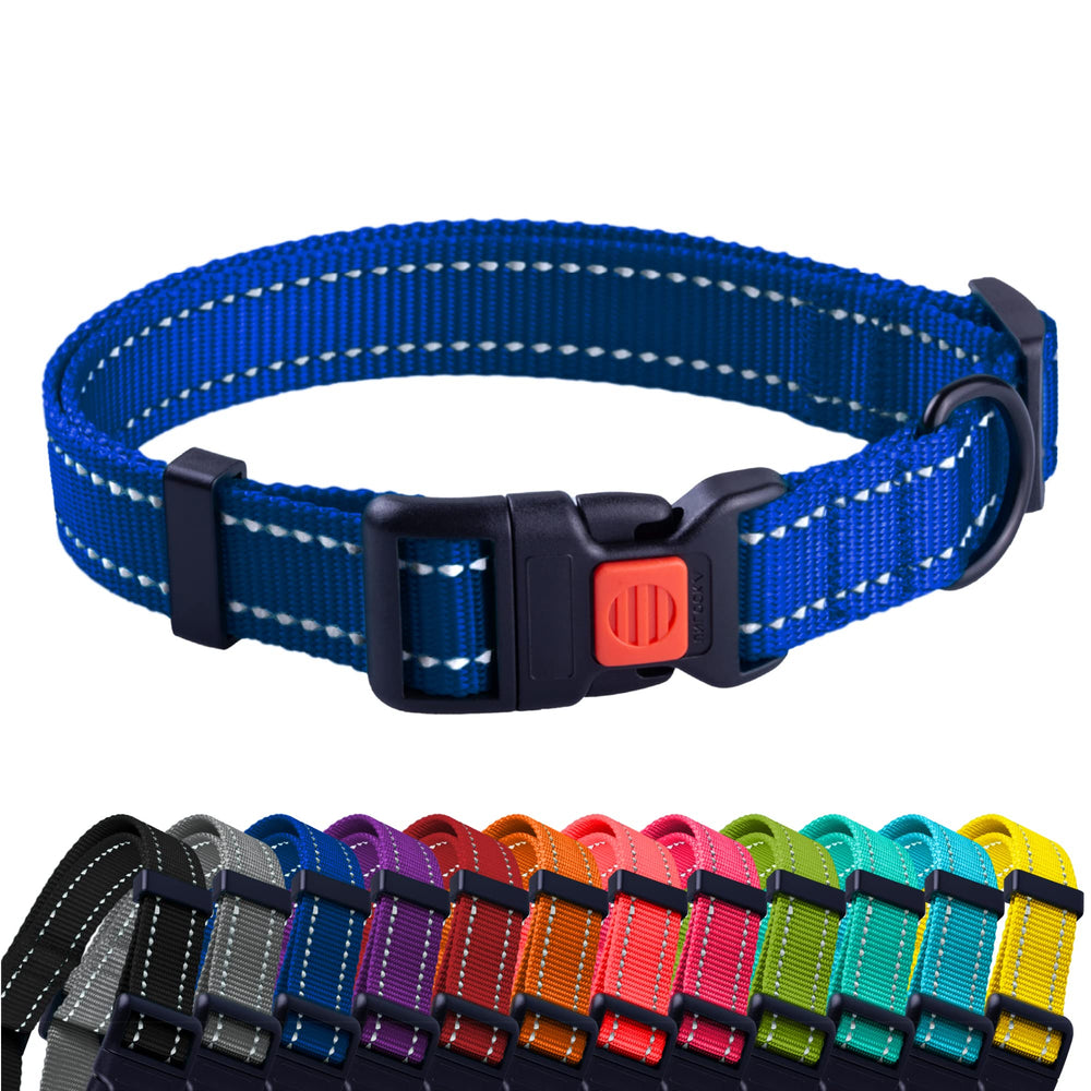 CollarDirect reflejante para perros mejora la visibilidad nocturna en paseos
