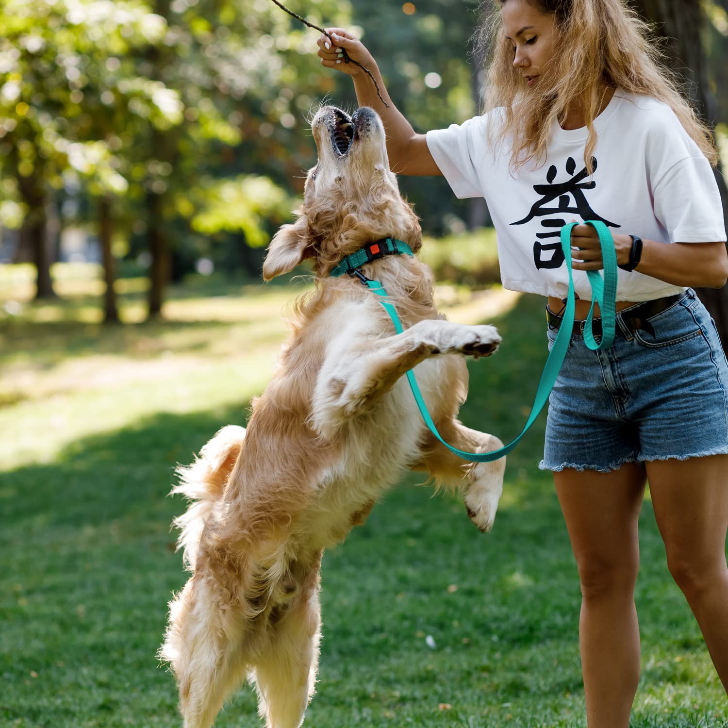 CollarDirect para perro mediano, reflejante y cómodo durante el paseo.
