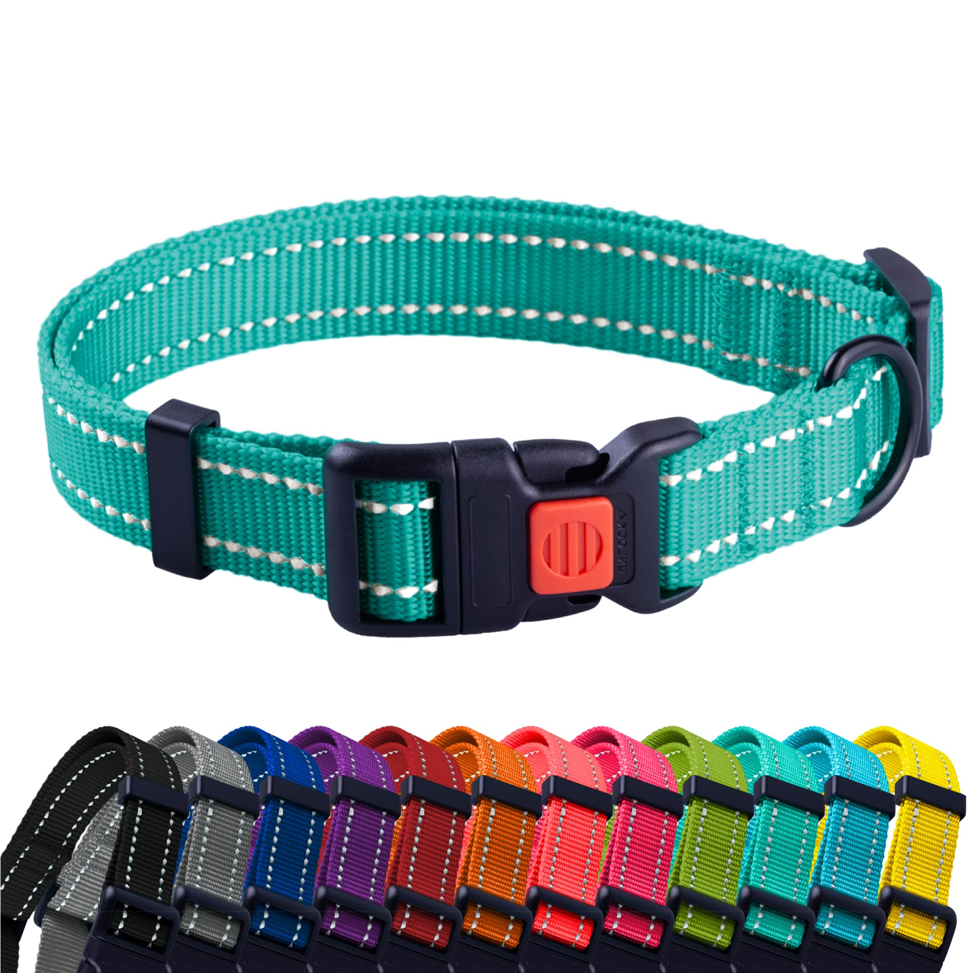 CollarDirect para perro pequeño, color verde menta y mayor visibilidad nocturna.