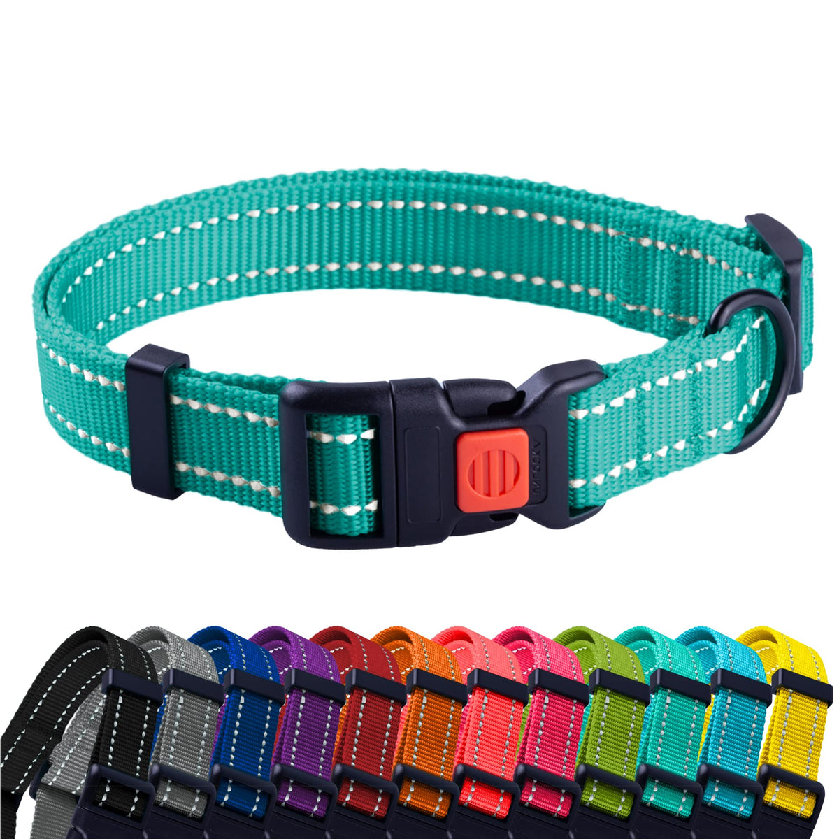 CollarDirect para perro pequeño, color verde menta y mayor visibilidad nocturna.