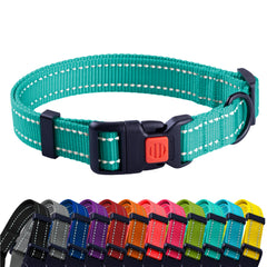 CollarDirect para perro pequeño, color verde menta y mayor visibilidad nocturna.