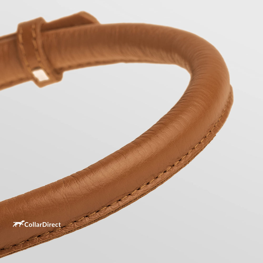CollarDirect collar enrollado suave acolchado, ideal para uso diario con pelaje sensible.