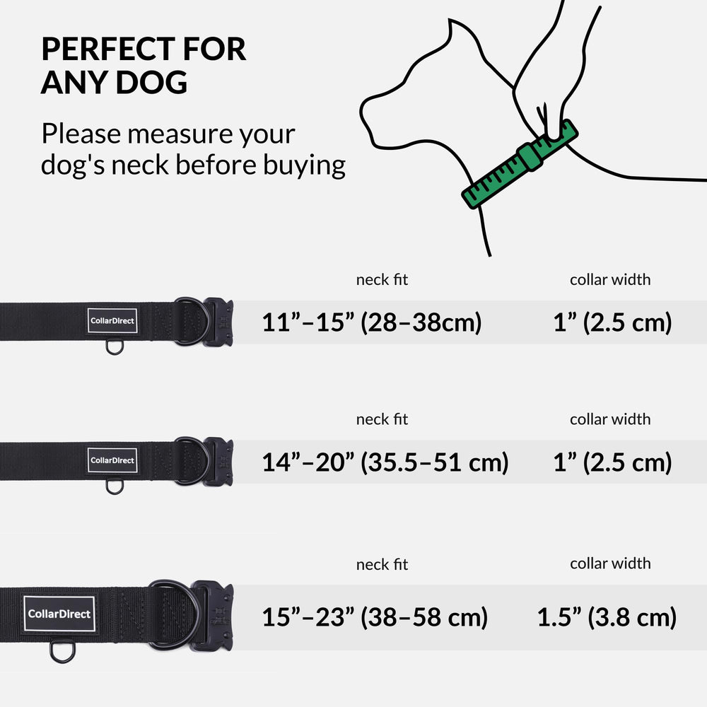 CollarDirect: collar para perros activos con ajuste seguro y correa
