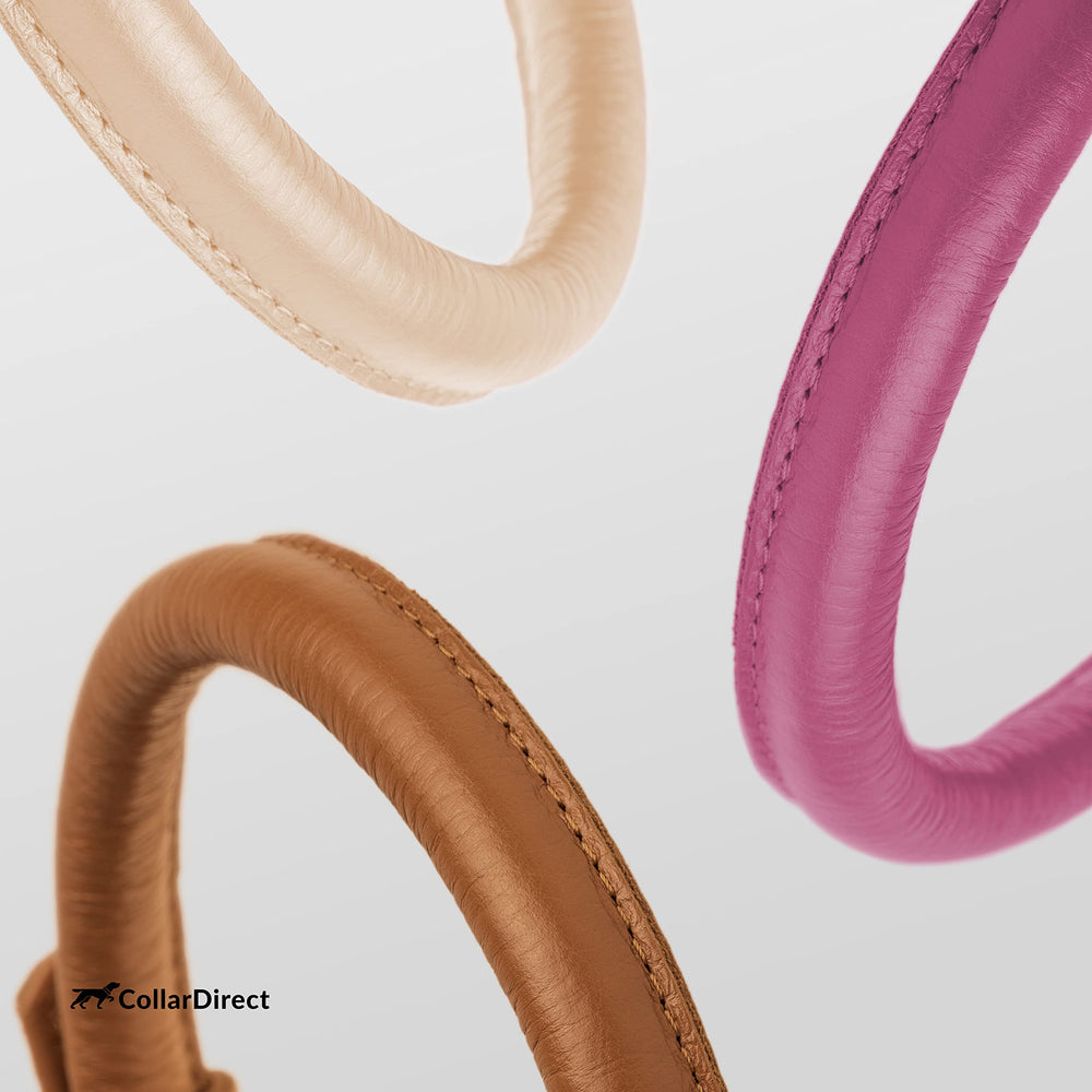 CollarDirect: uso diario con cuero enrollado rosa texturizado para mascotas.