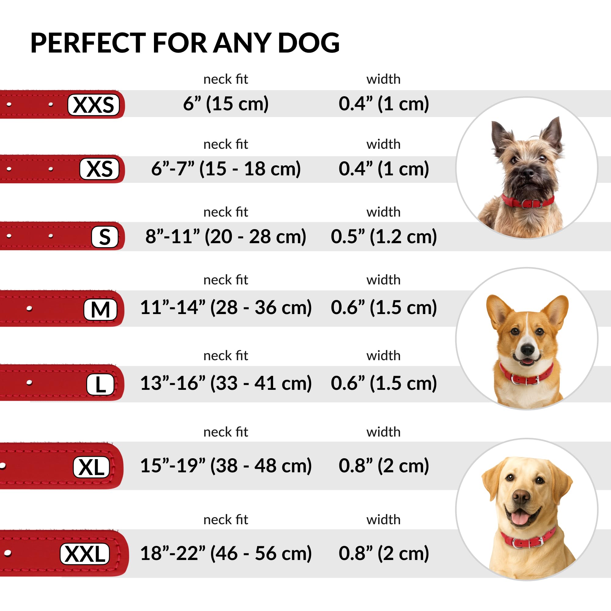 CollarDirect collar en 13 colores, estilo para cada personalidad de la mascota.