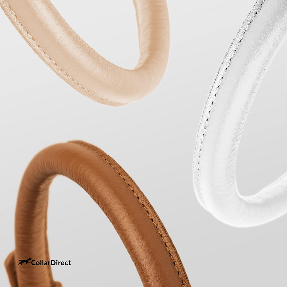 CollarDirect colores variados, combina con personalidad