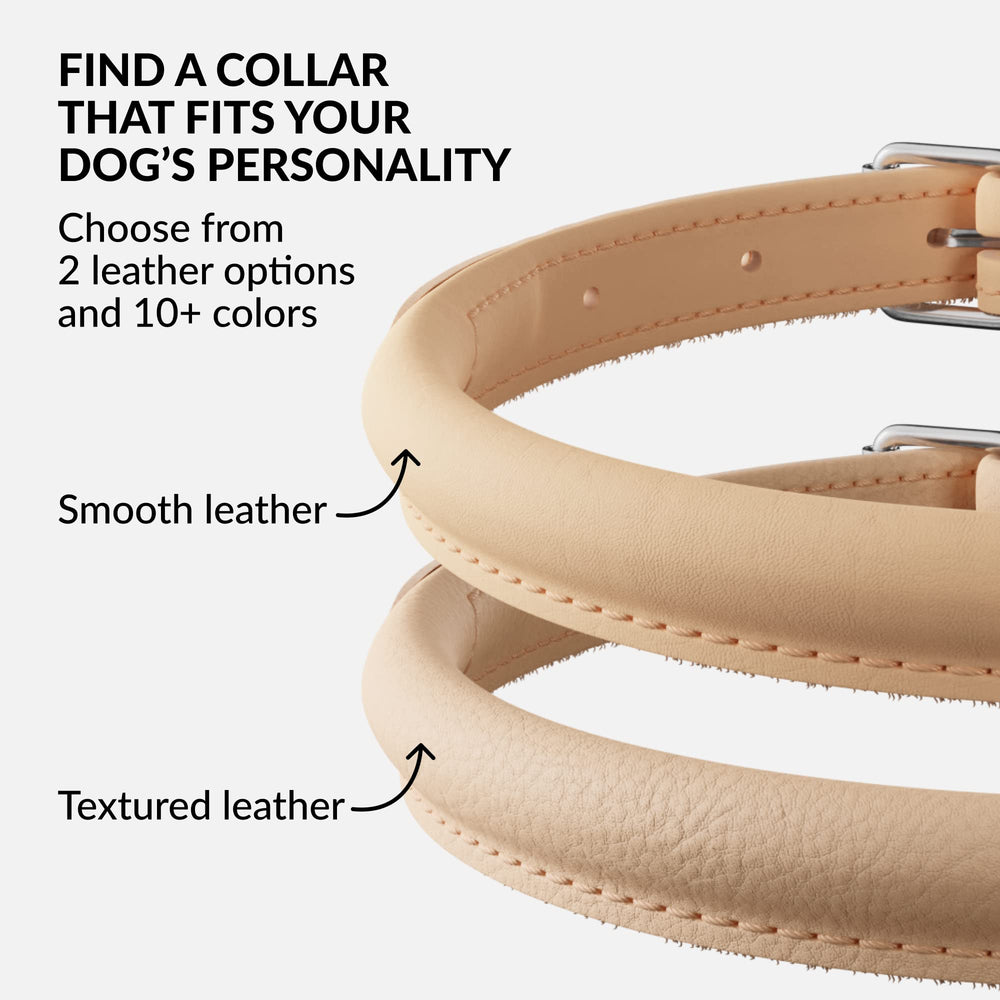 CollarDirect collar de varios colores, estilo personalizado para tu mascota.