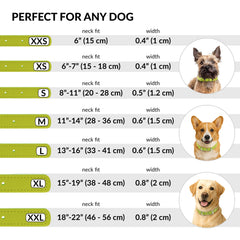CollarDirect cuero suave, variedad de colores para tu mascota