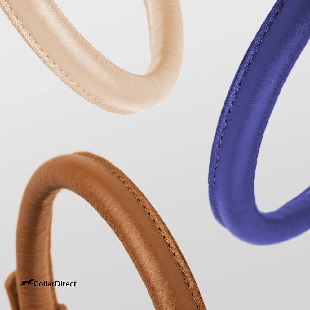 CollarDirect disponible en 13 colores para combinar con la personalidad de tu mascota.