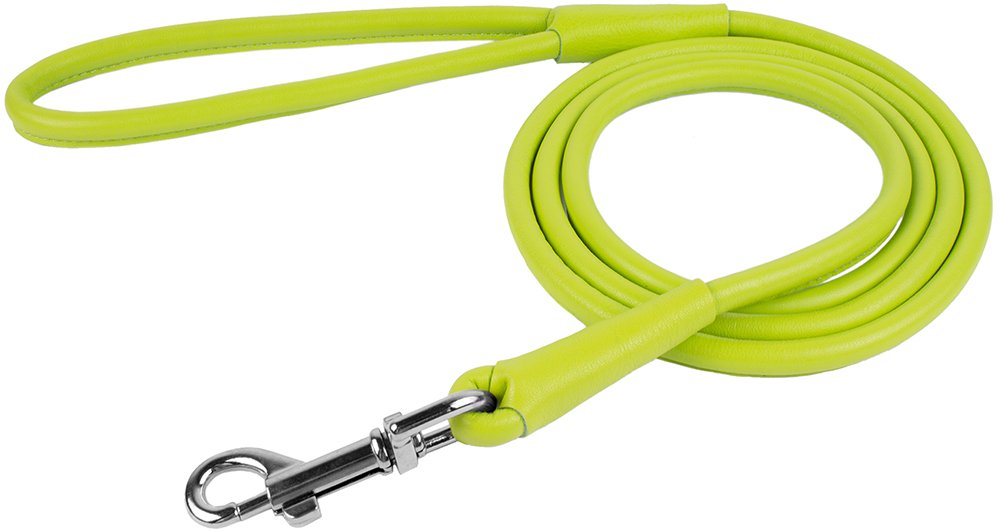 CollarDirect correa cuero enrollado azul 6 pies, libertad segura al aire libre