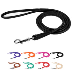 CollarDirect correa cuero enrollado negra 4 pies, ideal para entrenamiento diario