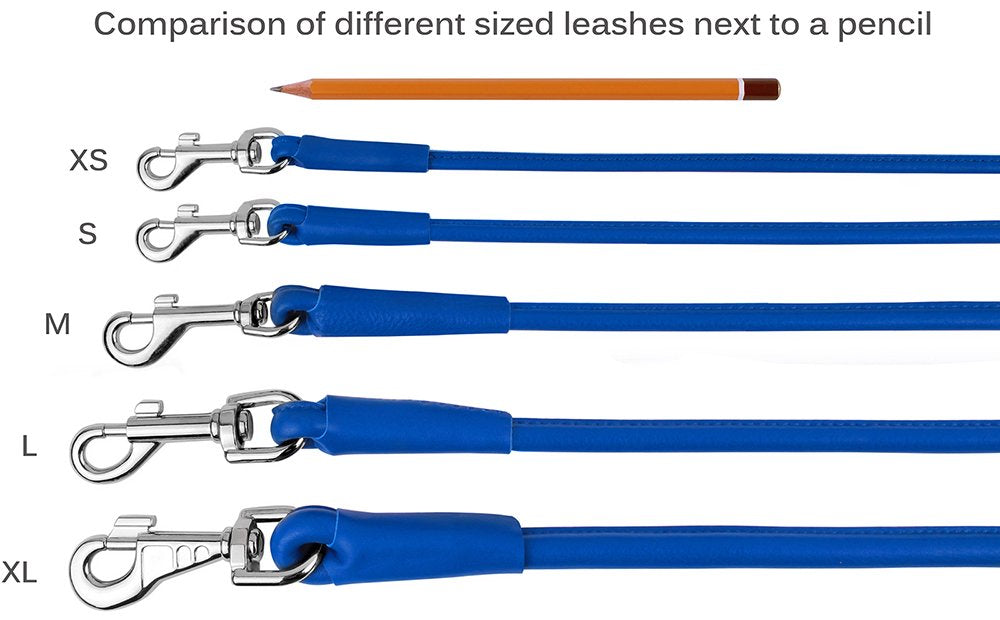 CollarDirect correa enrollada, detalle de hardware resistente para entrenamiento