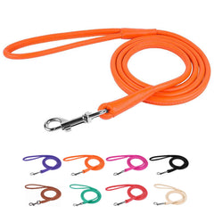 CollarDirect correa de cuero ondulado 4ft, paseo cómodo y estilizado.