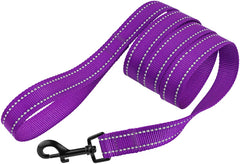 CollarDirect correa nylon 5ft con costura reflectante para mayor visibilidad nocturna.