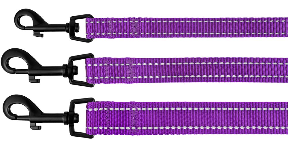 CollarDirect correa nylon 5ft uso diario, cómoda y resistente para perros.