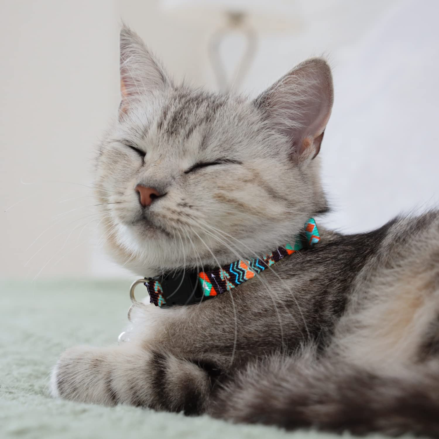 CollarDirect diseños atractivos tribales y aztecas, expresión única para tu gato.
