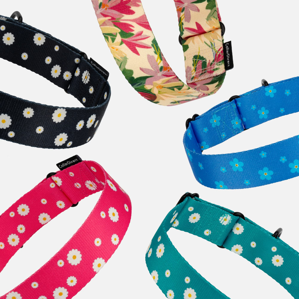 Collar de moda CollardDirect con diseño floral: aspecto atractivo y funcionalidad