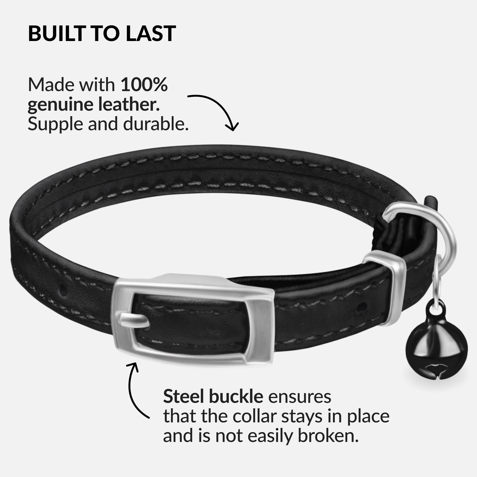 CollarDirect kitten collar with elastic safety strap for gentle release if snagged.