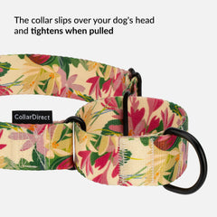 CollarDirect martingala para perros en diseño floral azul marino, resistente para exteriores