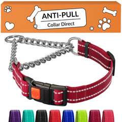 CollarDirect Martingale con cadena de acero inoxidable para paseos duraderos.