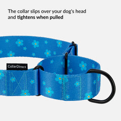 CollarDirect Martingale floral azul marino, nylon ligero para exteriores durante el paseo.