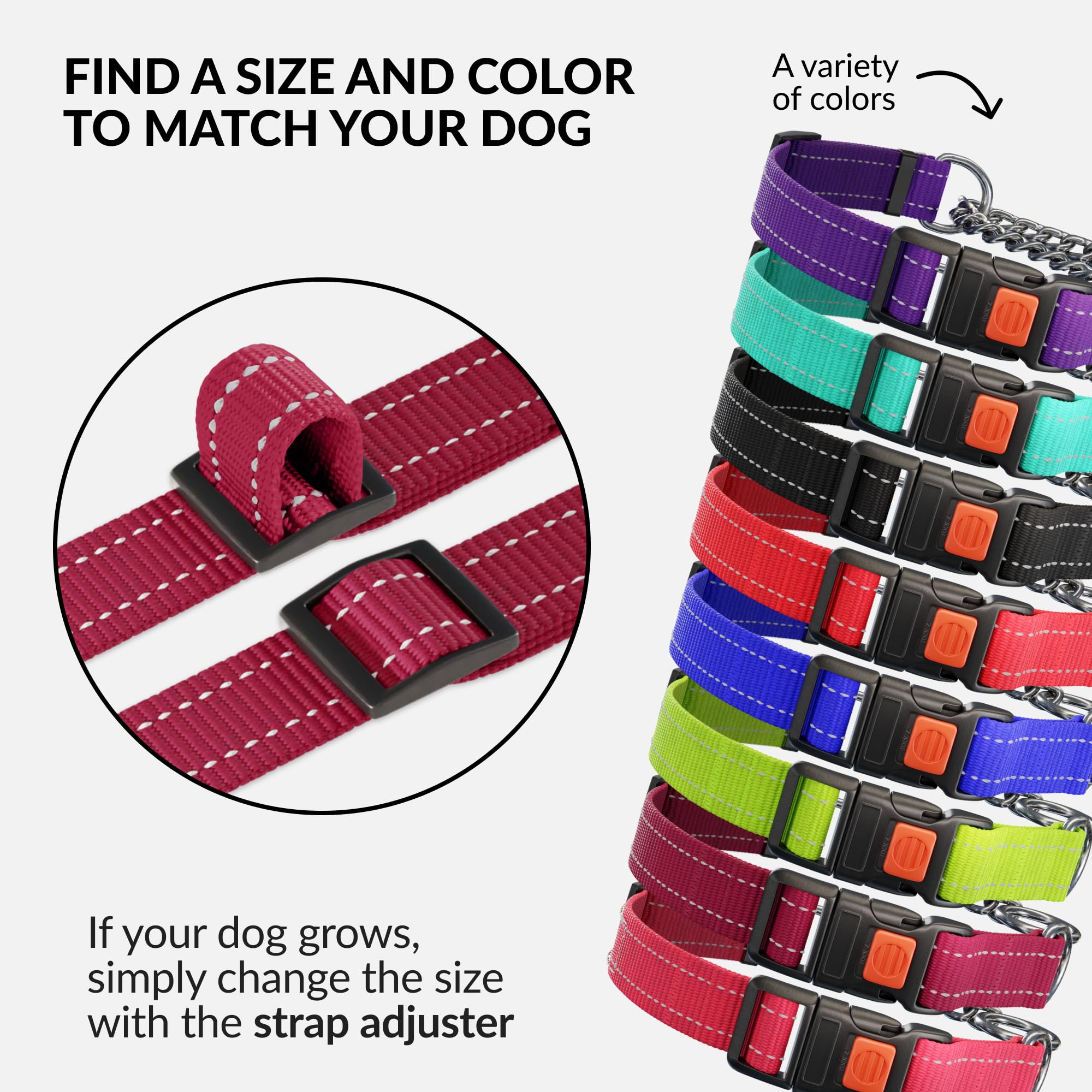 CollarDirect Martingale gama de colores vivos para personalizar la compra.