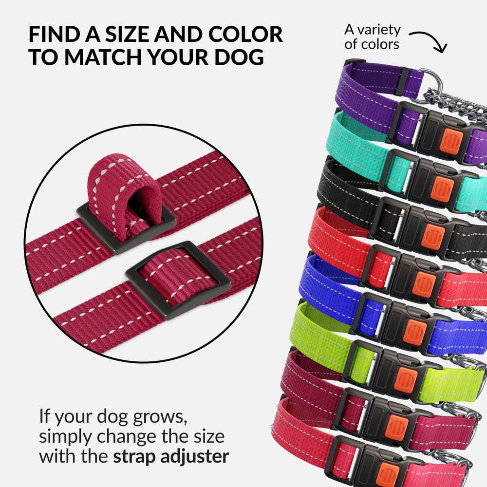 CollarDirect Martingale gama de colores vivos para personalizar la compra.